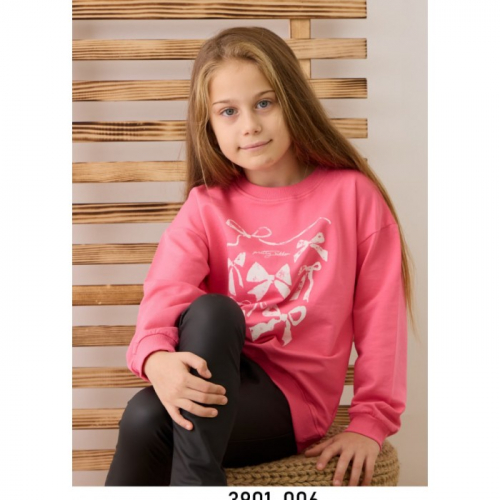 3901-006 Свитшот для девочек Cichlid