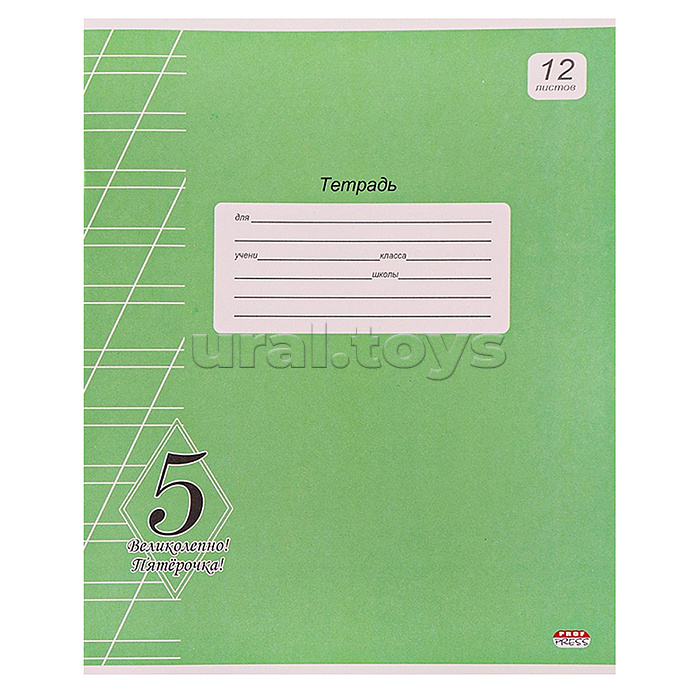 Тетрадь 12л. косая линия