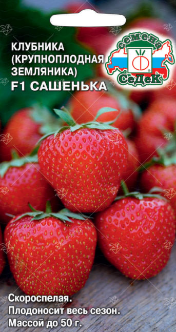 ягоды Клубника Сашенька F1 15 шт ц/п Седек (ремонтантная)
