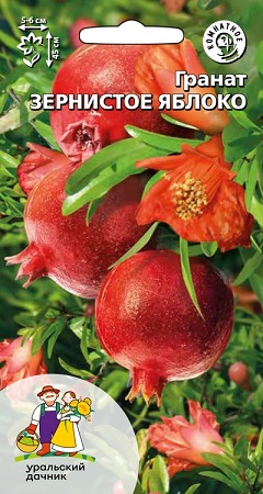 Цветы Гранат Зернистое яблоко 6 шт ц/п Уральский Дачник (комн.)