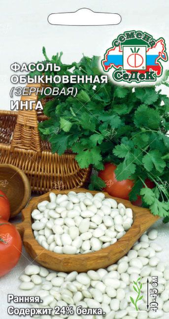 Фасоль зерновая Инга 5 г ц/п Седек, белая