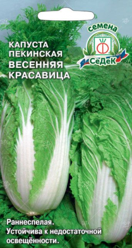 Капуста пекинская Весенняя Красавица F1 0,3 г ц/п Седек (ранняя)