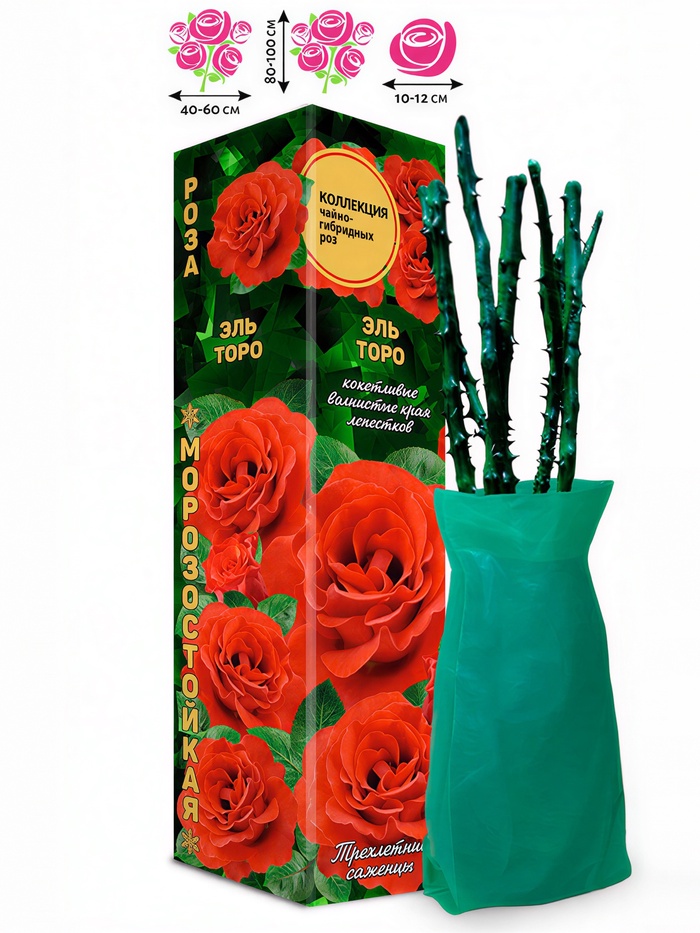 Саженец Роза чайно-гибридная «Эль Торо», 1 шт., Весна 2026