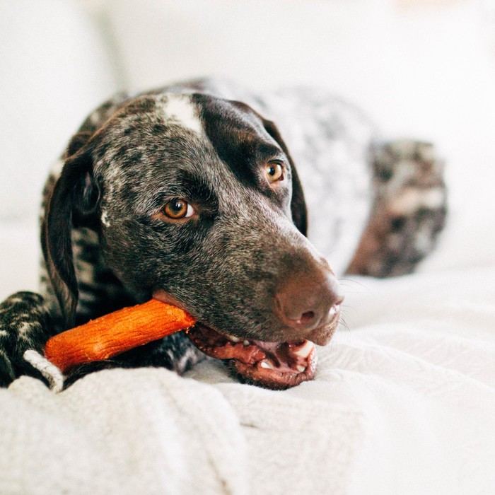 Игрушка Petstages Mesquite Dogwood для собак, маленькая, с ароматом барбекю 16 см