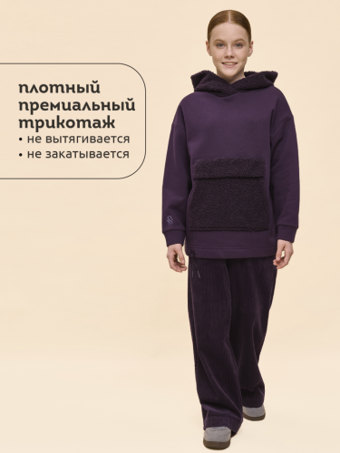 Ст.цена 1825р. Толстовка для девочек Сливовый(59) GFNK3364/1