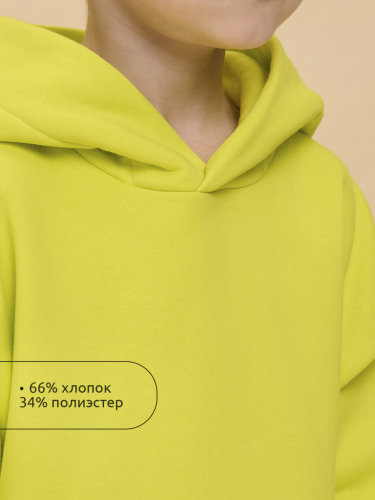 Ст.цена 1516р. Толстовка детская Яблочный(51) UFNK4323