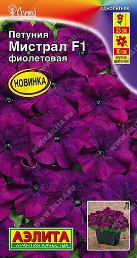 Цветы Петуния Мистрал Фиолетовая F1, 7 шт ц/п Аэлита