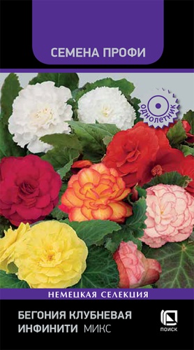Цветы Бегония клубневая Инфинити Микс, 7 шт ц/п Поиск (комн.)