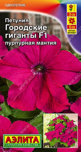 Цветы Петуния Городские Гиганты F1 Пурпурная мантия 7 шт ц/п Аэлита