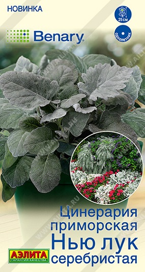 Цветы Цинерария Нью лук серебристая 15 шт ц/п Аэлита (однол.)