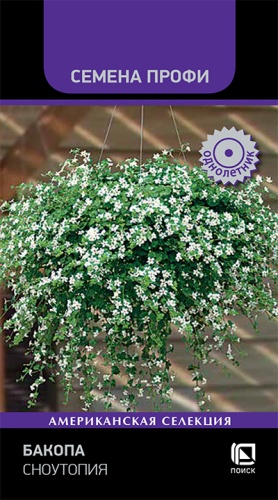 Цветы Бакопа Сноутопия 5 шт ц/п Поиск (однол.)