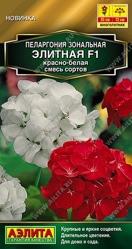 Цветы Пеларгония Элитная F1 Красно-белая, смесь 5 шт ц/п Аэлита (комн.)