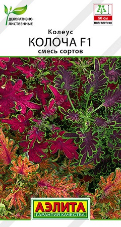 Цветы Колеус Колоча смесь F1 5 шт ц/п Аэлита (комн.)