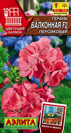 Цветы Герань Балконная Персикова F2, 5 шт ц/п Аэлита (комн.)