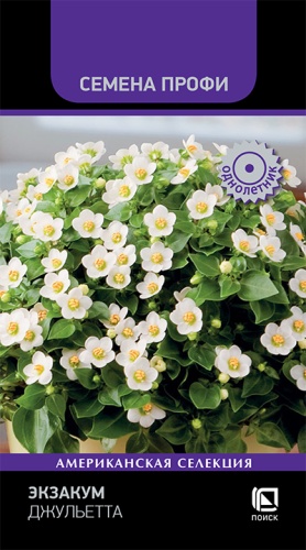 Цветы Экзакум Джульетта 5 шт ц/п Поиск (комн.)