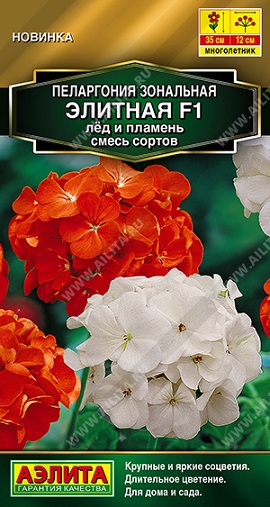 Цветы Пеларгония Элитная F1 Лед и пламень, смесь 5 шт ц/п Аэлита (комн.)