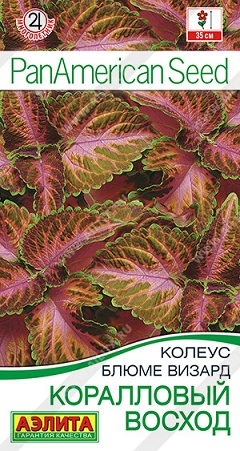 Цветы Колеус Блюме Коралловый восход 5 шт ц/п Аэлита (комн.)