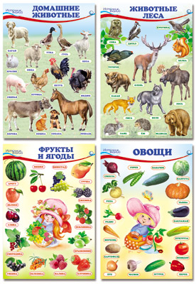  Комплект познавательных мини-плакатов. Домашние, лесные животные, фрукты и ягоды, овощи (4 листа А4+, текст на обороте)