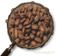Кофе Гондурас в зернах