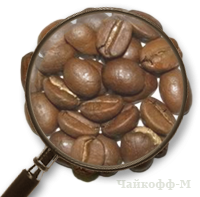 Кофе Индонезия Sulawesi МОЛОТЫЙ