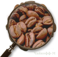 Кофе Доминикана в зернах 