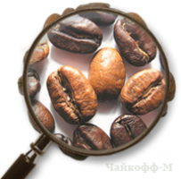  Кофе Парамарибо в зернах 