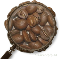 Кофе Индия Plantation A в зернах  