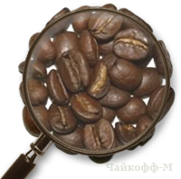 Кофе Эфиопия Yrgacheffe в зернах   