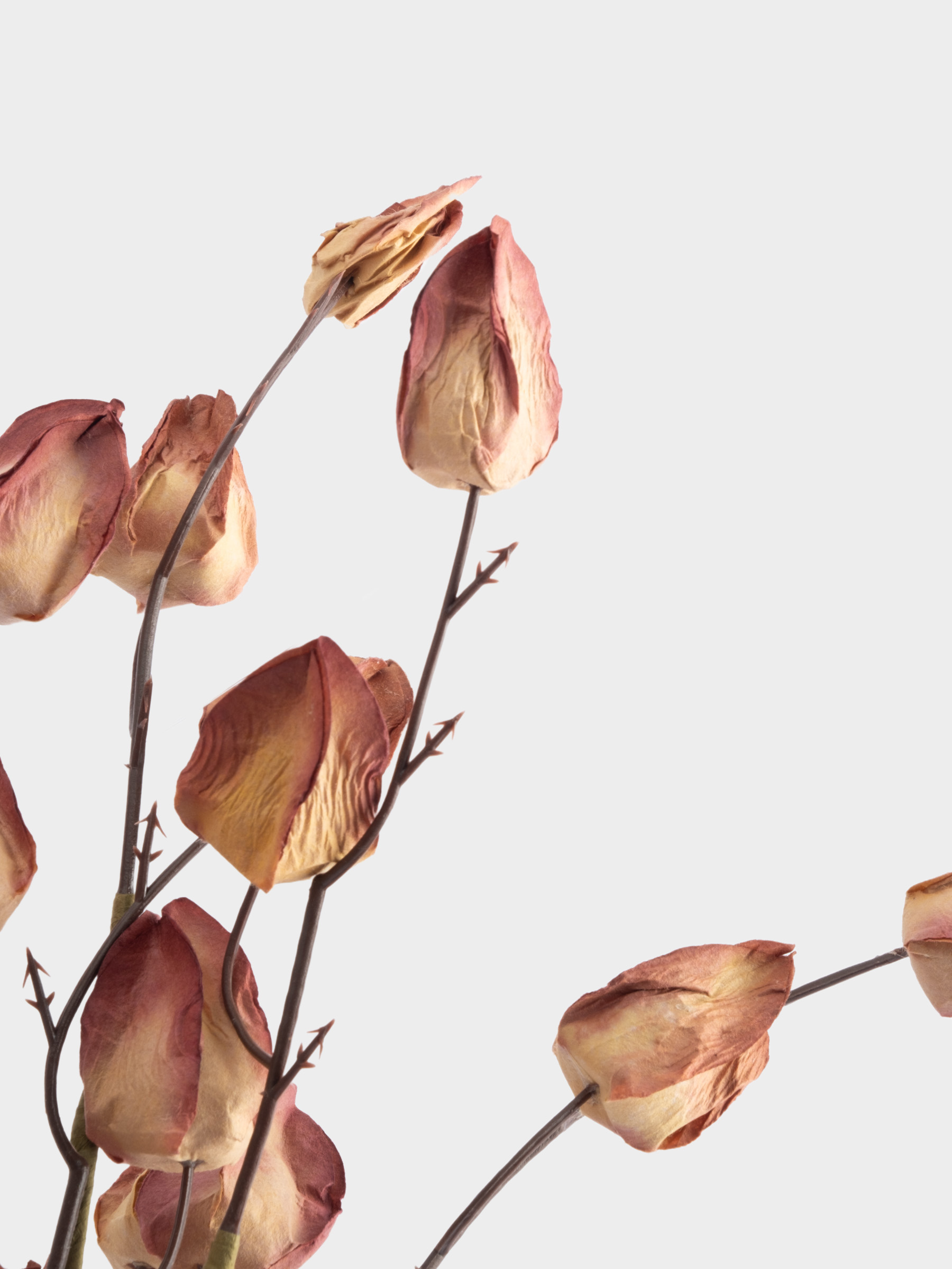 Ветка декоративная, 46 см, пенопласт/бумага, Бутоны, Light autumn