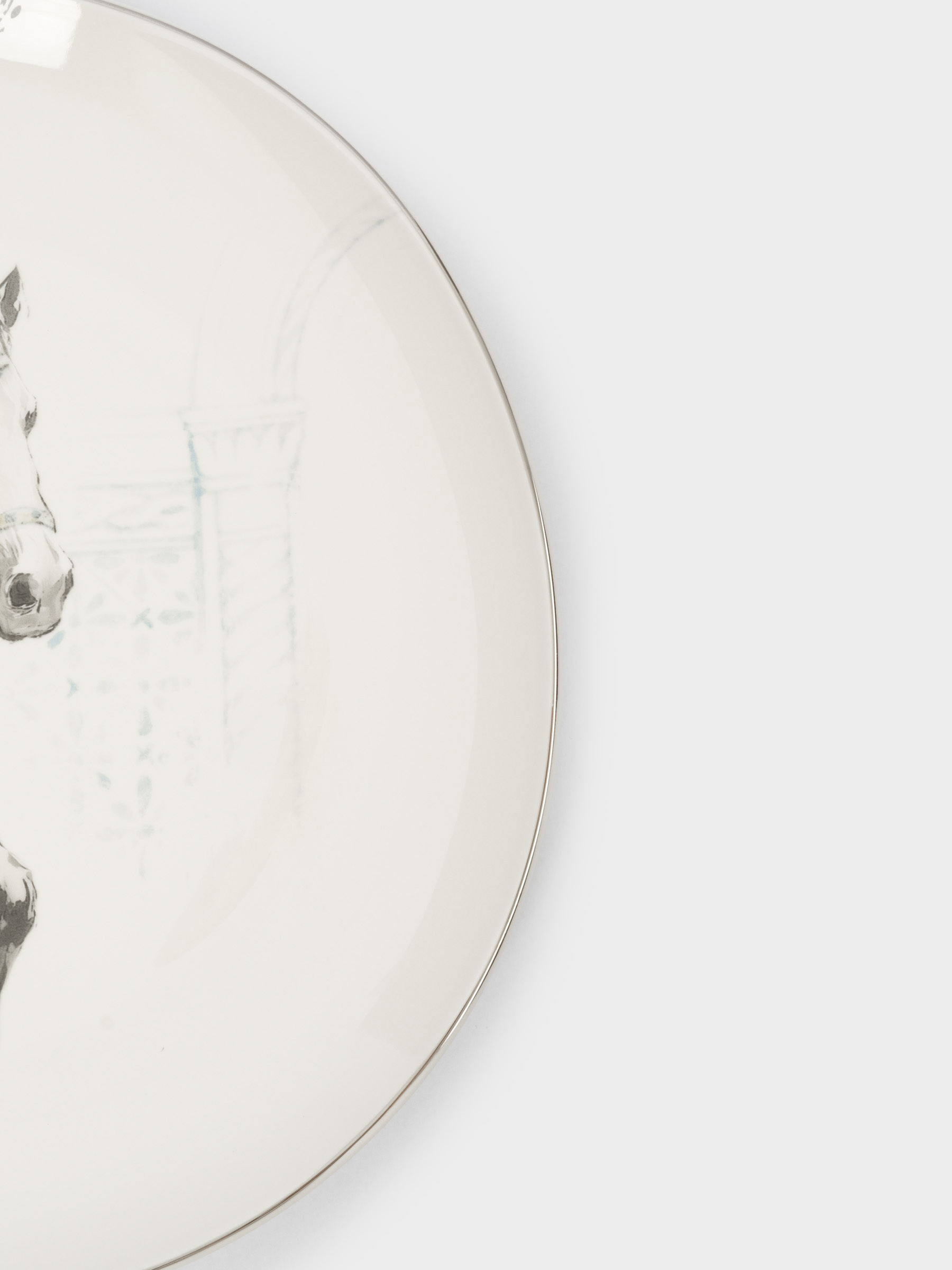 Тарелка обеденная, 28 см, фарфор N, белая, с серебристым кантом, Конь, White horse