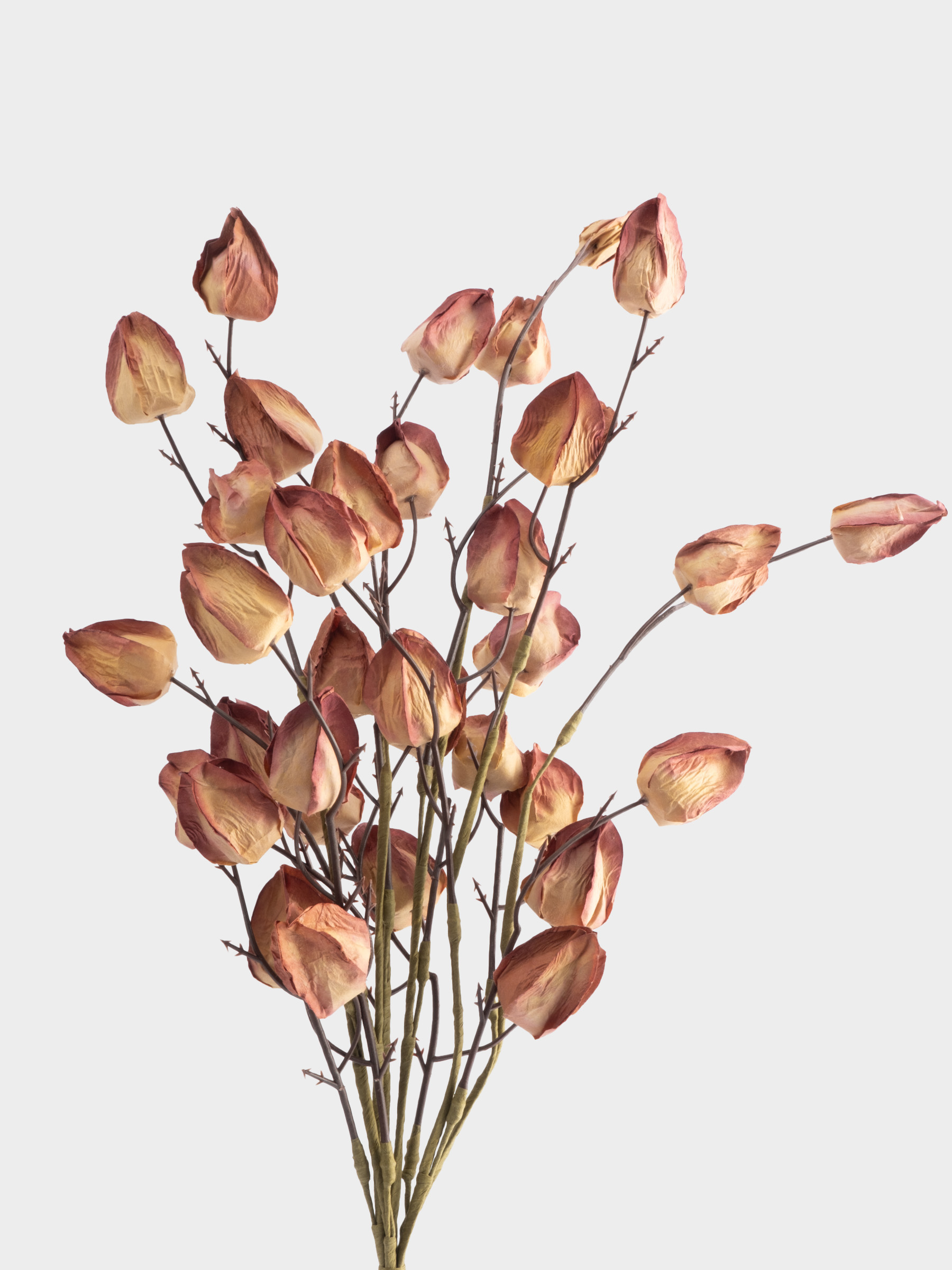 Ветка декоративная, 46 см, пенопласт/бумага, Бутоны, Light autumn