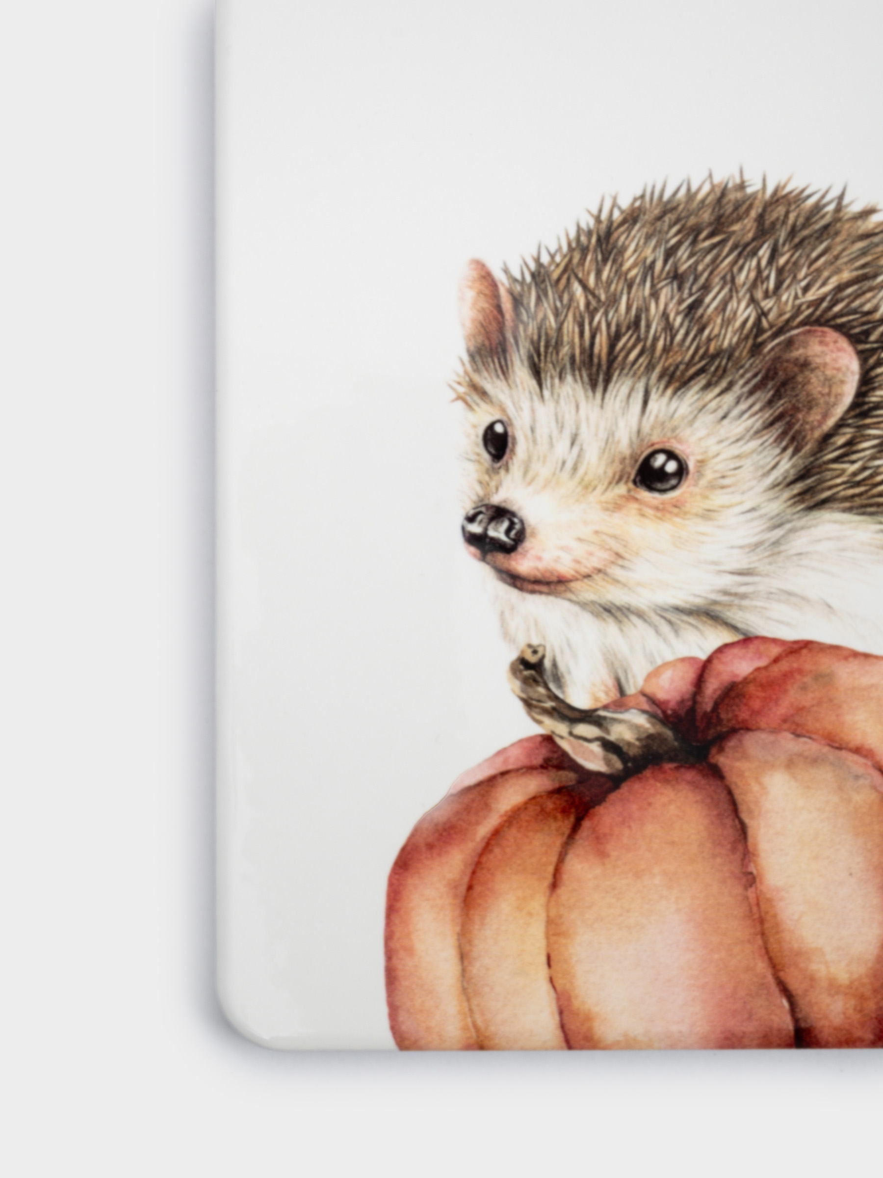 Подставка под горячее, 24х17 см, керамика/пробка, белая, Еж Autumn forest