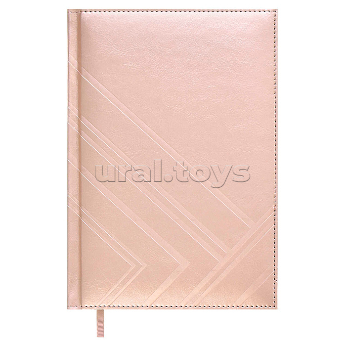 Ежедневник недатированный Escalada, #Илон Маск, А5, 160 л., Сариф эконом золотисто-бежевый