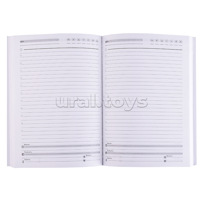 Ежедневник недатированный А5 128л.