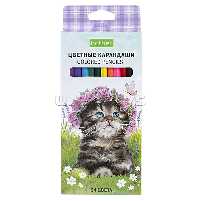 Карандаши цветные 24цв. ECO
