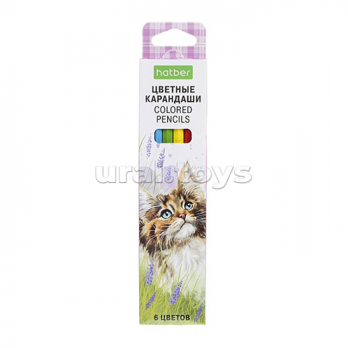 Карандаши цветные 6цв. ECO 