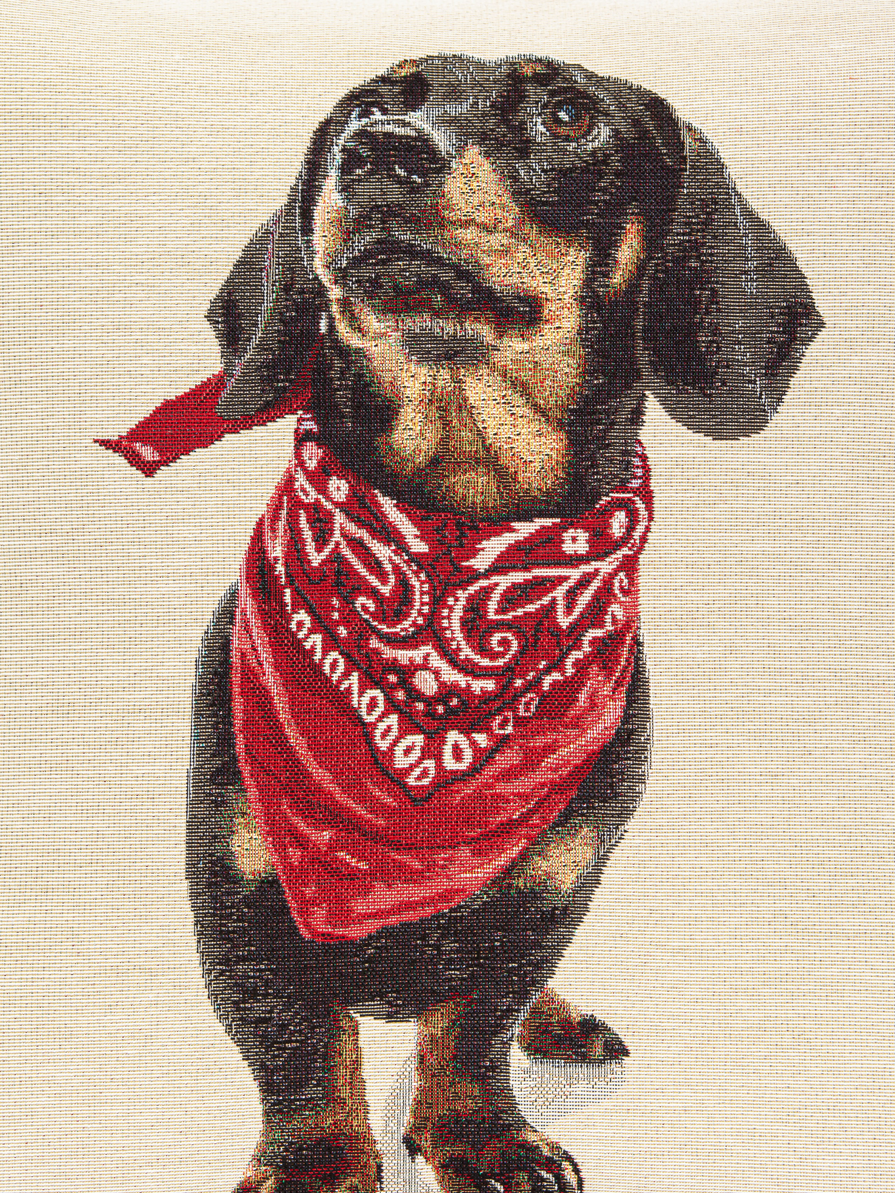 Породы собак Такса с платочком Наволочка 45х45 см 2105151