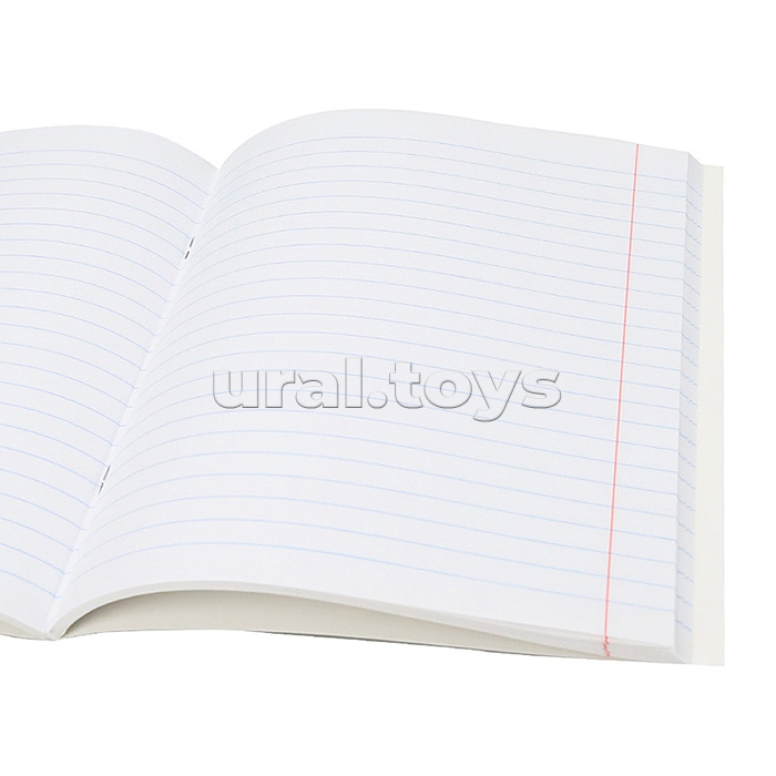 Тетрадь 48л. линия Литература
