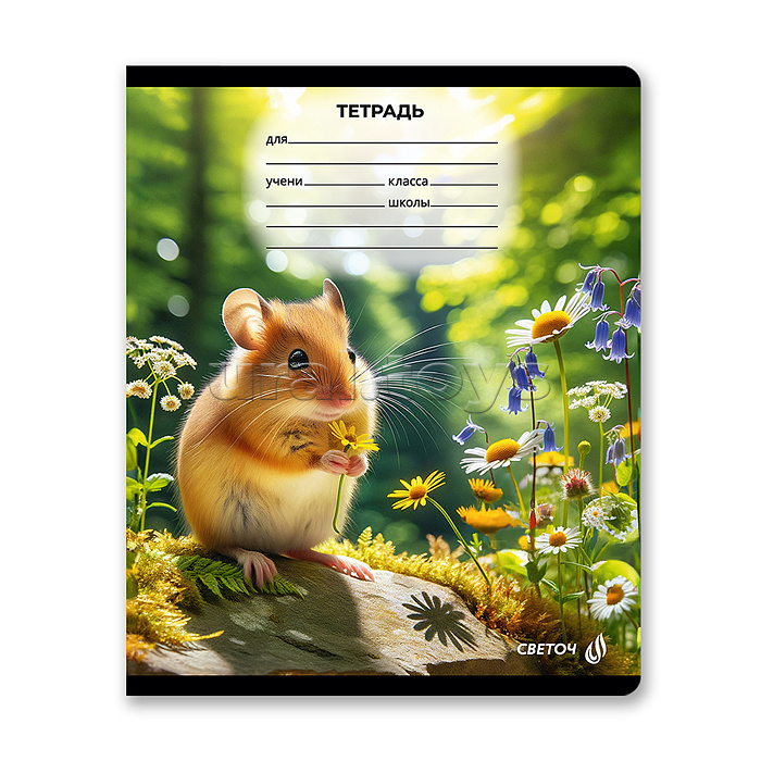 Тетрадь 18л. клетка