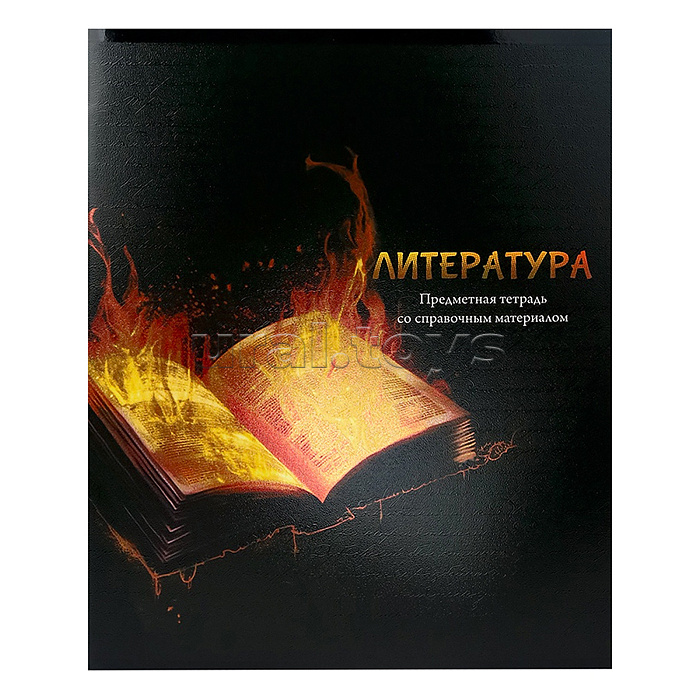 Тетрадь 48л. линия Литература