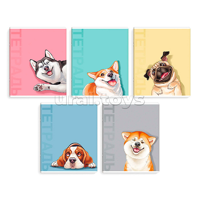 Тетрадь 48 л, клетка