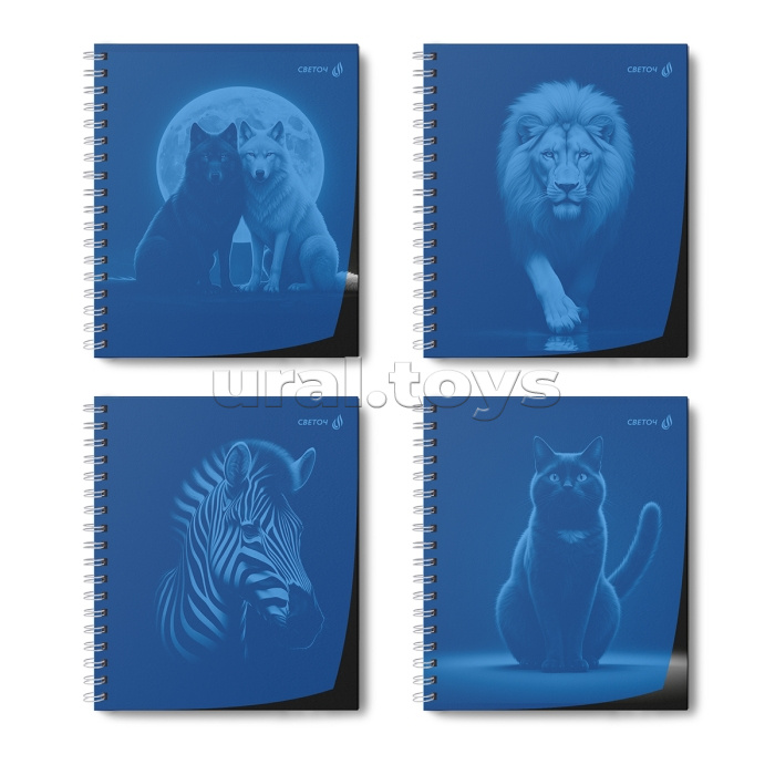 Тетрадь 48л. клетка