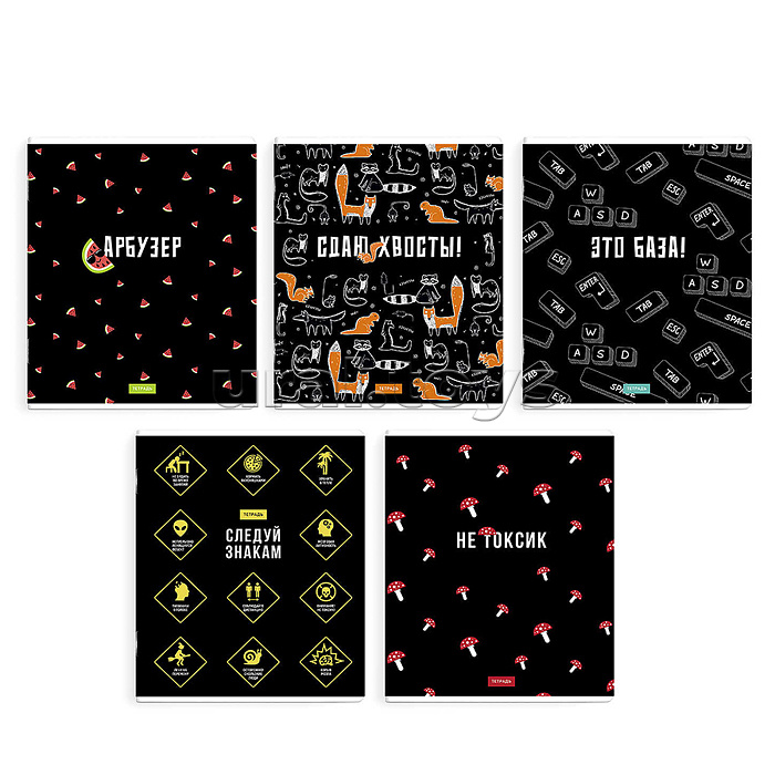 Тетрадь 48 л, клетка