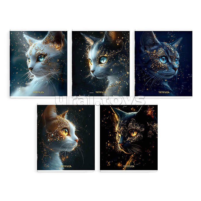 Тетрадь 48 л, клетка