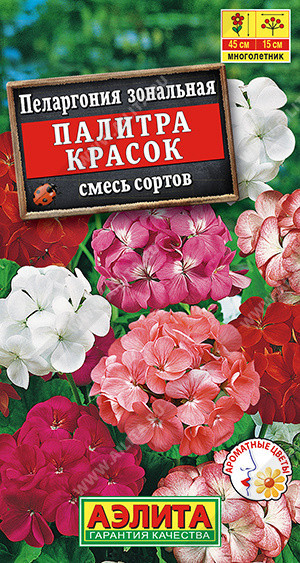 6112U Пеларгония Палитра красок, смесь сортов 4шт