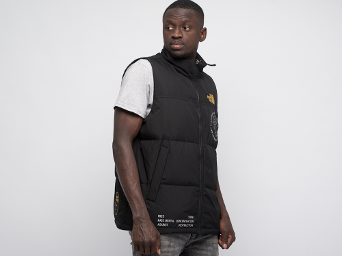 Жилет The North Face
