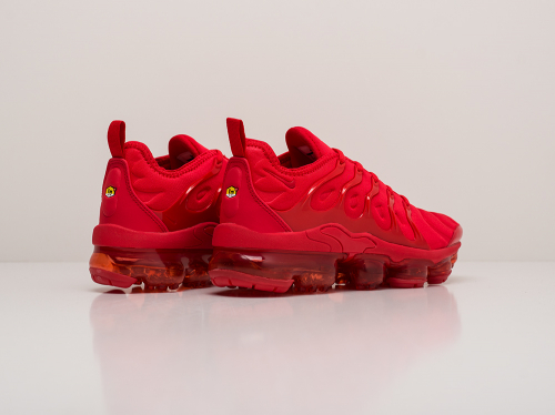 Кроссовки Nike Air VaporMax Plus