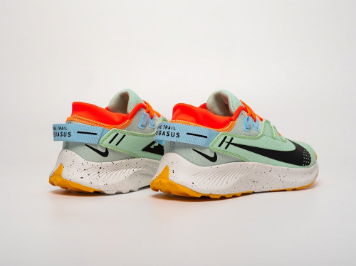 Кроссовки Nike Pegasus Trail 2