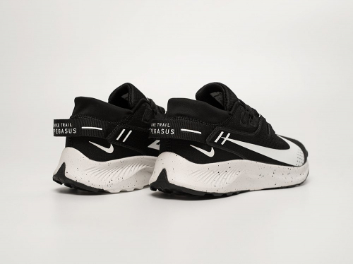 Кроссовки Nike Pegasus Trail 2