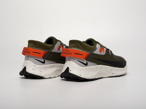 Кроссовки Nike Pegasus Trail 2